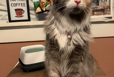 18 More Of The Coolest Pet Names We Saw On Social Media This Month