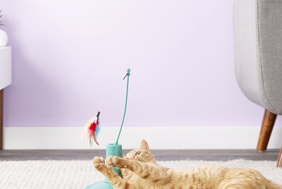 Cuteness Picks: 7 Interactive Toys That Will Keep Your Cats Occupied While You Work From Home