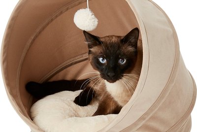 Cuteness Picks: 7 Cat Caves For Priority Sleepers