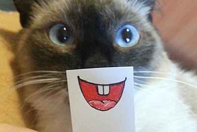 People Are Giving Their Cats Cartoon Makeovers & We Can't Stop Laughing