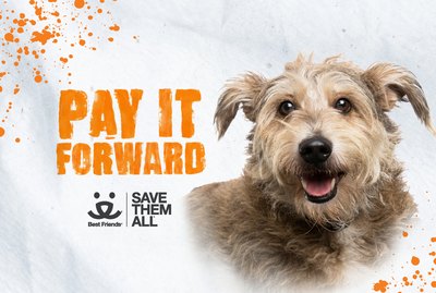 Help Save Pets' Lives with Best Friends' Pay It Forward Campaign
