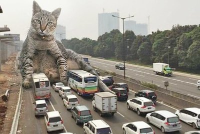 Giant Cats Overrun The World's Cities In Hilarious New Photoshops