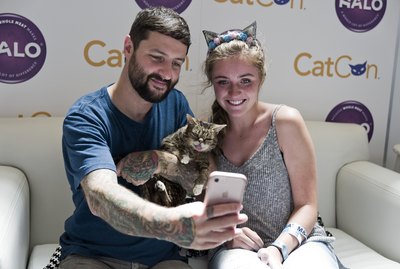 Everything You Need to Know About CatCon 2019