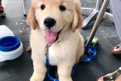 18 Of The Coolest Pet Names We Saw On Social Media This Month