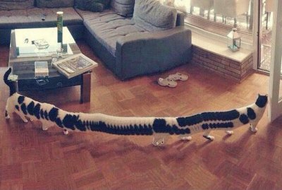 These 20 Pet Photo Fails Are Guaranteed To Keep You LOLing