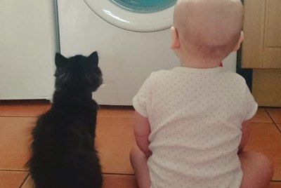 17 Kitties and the Kids Who Love Them
