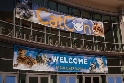 Just Some of the Highlights of CatCon 2019