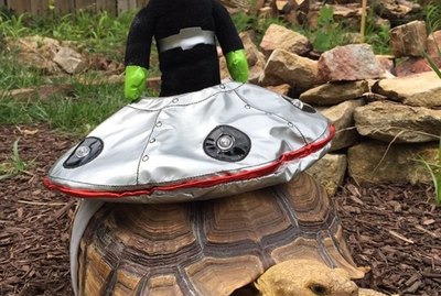 Turtles & Tortoises in "Costumes" Are Our New Obsession