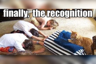 18 Photos That Prove Humans Still Worship Cats
