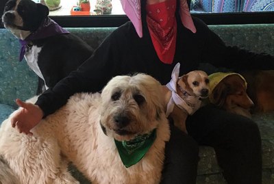 14 Famous Faces With Their Furry Friends