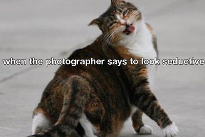 19 of the Most Genuine Pet Memes
