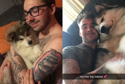 15 Puppies That Grew Up Too Fast