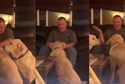 Why This Family Gives One Of Their Dogs A Placebo Will Make You LOL
