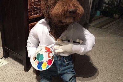 18 Animals in Costumes You'll Want to Steal