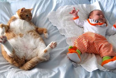 Just 18 Adorable and Funny Pet Pics