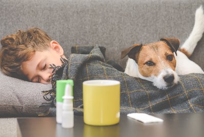 Does My Dog Know When I'm Sick?