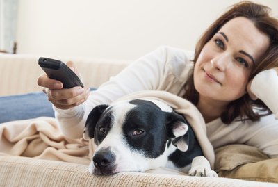 16 Documentaries About Pets That You Can Stream Right Now