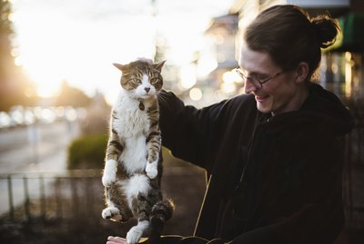 How to Safely Restrain a Cat in an Emergency