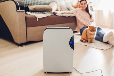 Are Air Purifiers Safe For Pets?