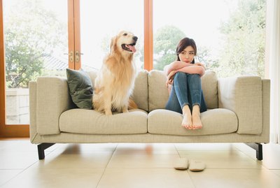 Does My Dog Know When I'm Sad?