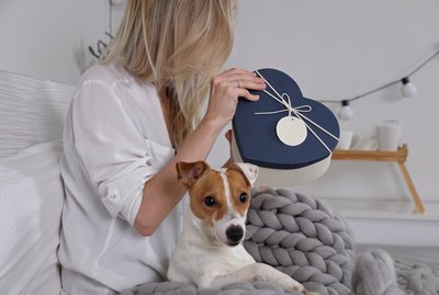 6 Gift Ideas For Pet Lovers Who Want To Give Back