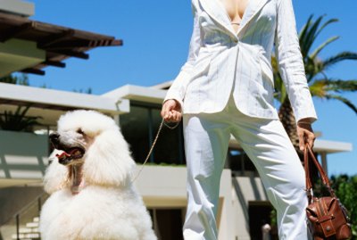 Different Grooming Cuts for Poodles
