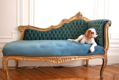 110 French Pet Names Because Everything Sounds Better in French