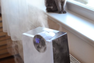 Are Humidifiers Good For Pets?