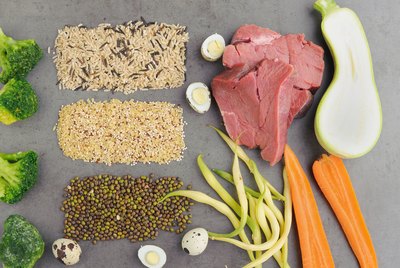 3 Ways to Feed Your Pet