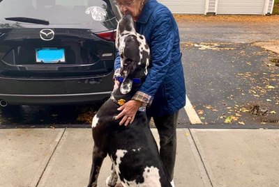 Just 20 Pictures of Big Dogs That Will Make You Say Holy Smokes