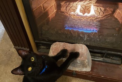 The Best Of The "Do You Accept These Peets" Meme