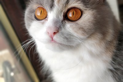 The Very Best of The Pretty Eyes Challenge