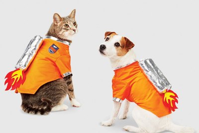 Cuteness Picks: 8 Pet Costumes That Will Win Halloween