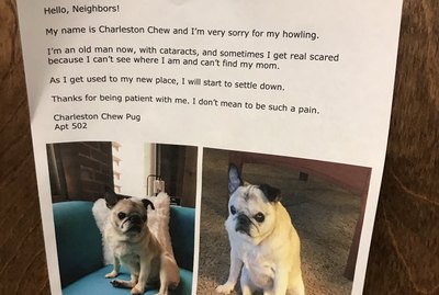 11 Cute Letters About Pets That Went Viral Because They Were Too Pure