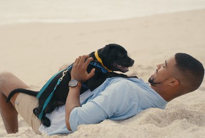 The Best Swimming & Water Gear for Dogs
