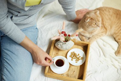 How Long Will It Take My New Cat to Warm Up to Me?