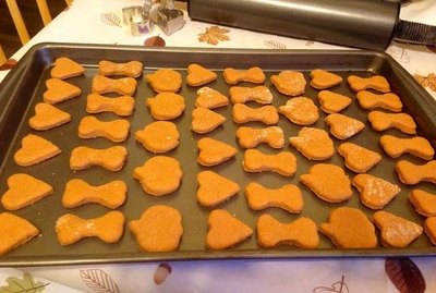 11 Dog Treats Almost Too Cute for Your Dog to Eat