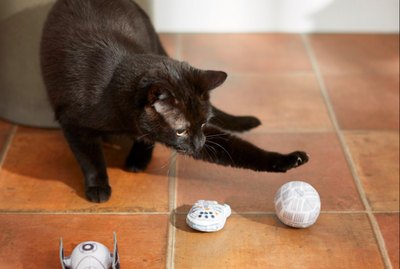 May the Fur Be With You: 5 Adorable Star Wars Toys & Accessories – for Cats