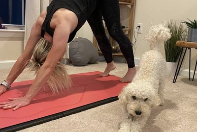 18 Dogs Who Are Crushing Their Yoga Goals