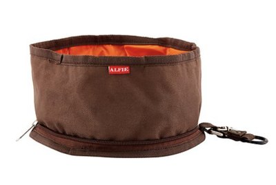 The Best Hiking Gear for Adventurous Dogs & Their Humans