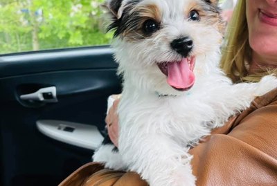 16 Pets Who Are Next Level Adorable