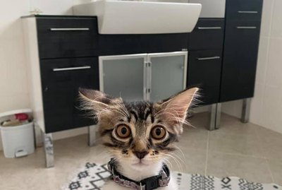 18 Pet Pics Guaranteed To Put a Smile on Your Face