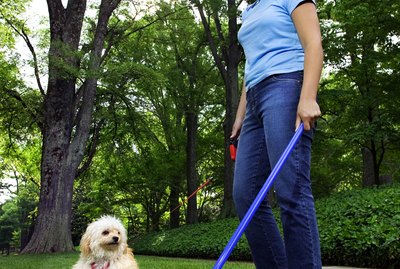 What Can I Put Down in the Yard to Control the Smell of Dog Poop?