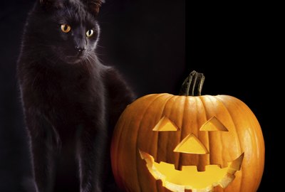 How to Remove Candle Wax From a Cat's Fur