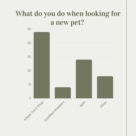 Survey results for when looking for a new pet