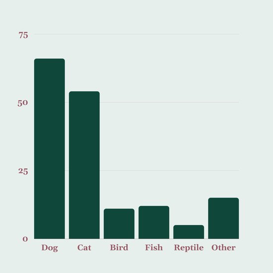 Survey results for what type of pet do you own