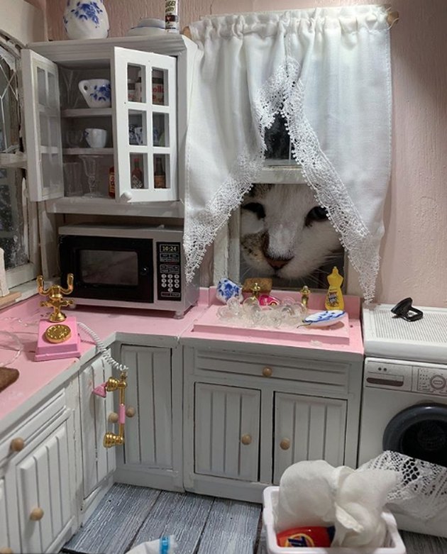 15 Adorable Pictures of Cats Inside Dollhouses | Cuteness