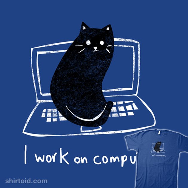 cat sits on laptop