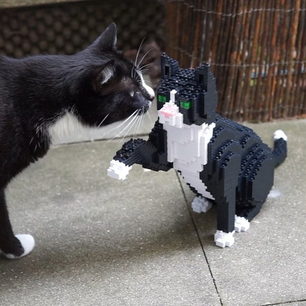 These Life Sized Lego Sculptures Of Cats And Dogs Will Blow Your Mind