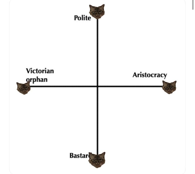 cat self identifies as all personalities on axes